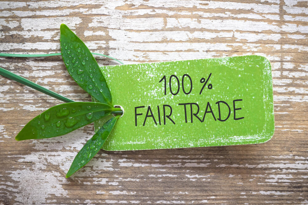 100% Fairtrade Tee
