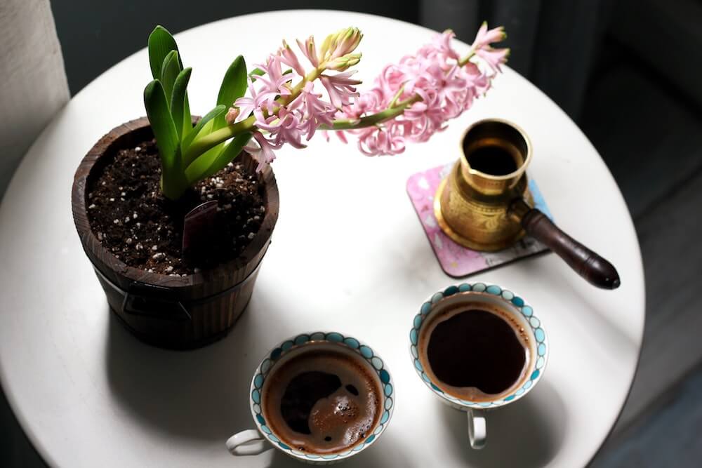 Kaffeetisch mit Pflanze