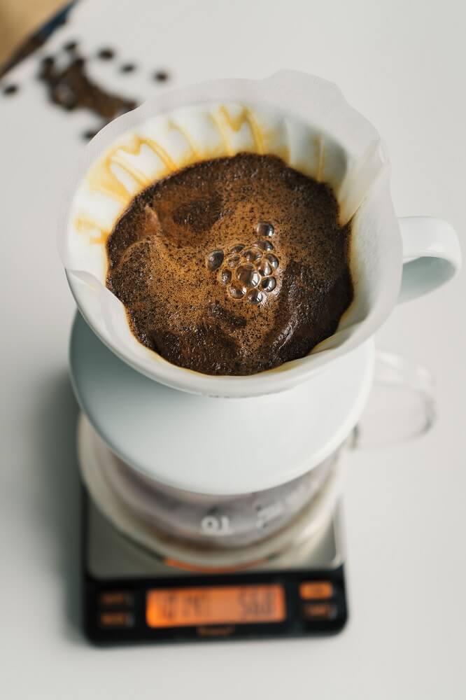 Hario Coffee Dripper
