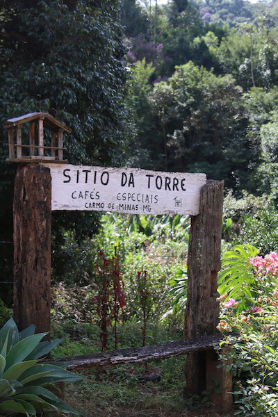 Supremo Kaffee Sitio da Torre Anbaugebiet