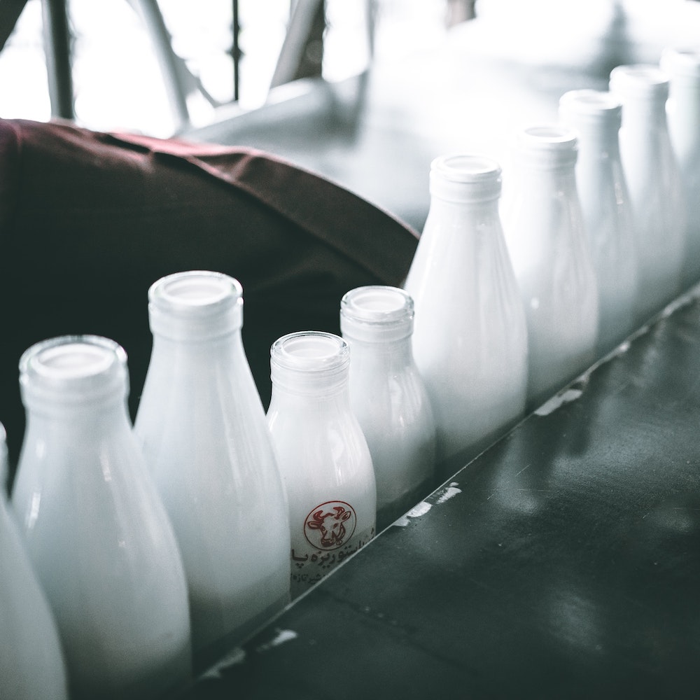 Milchflaschen mit frischer Kuhmilch