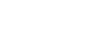 Wittmann Logo